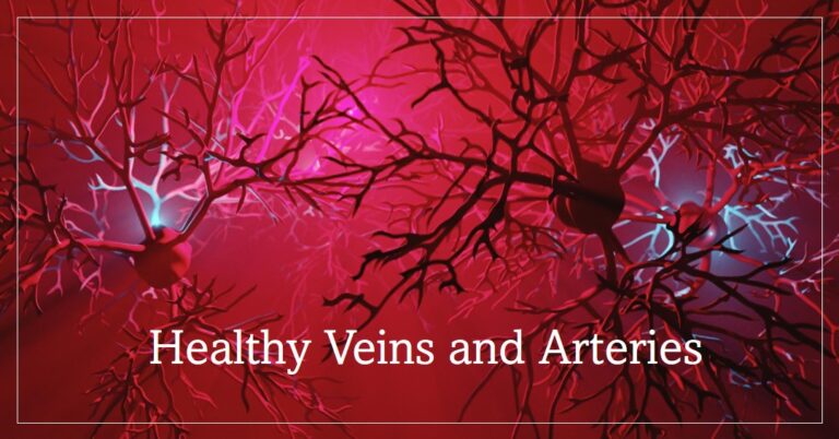 Best vitamins for veins and arteries