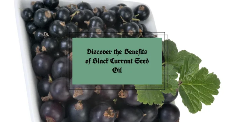 Black currant seed oil benefits